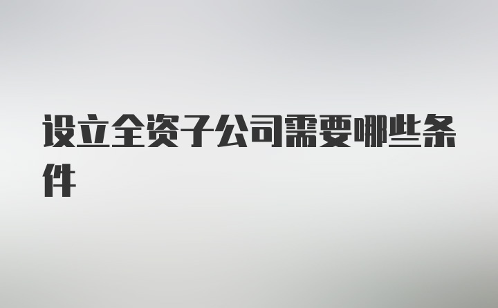 设立全资子公司需要哪些条件