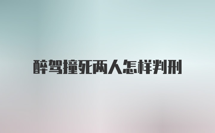 醉驾撞死两人怎样判刑