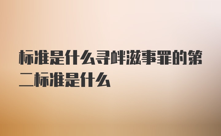 标准是什么寻衅滋事罪的第二标准是什么