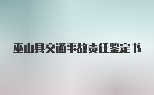 巫山县交通事故责任鉴定书