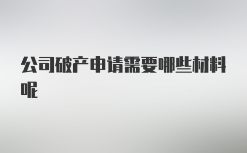 公司破产申请需要哪些材料呢