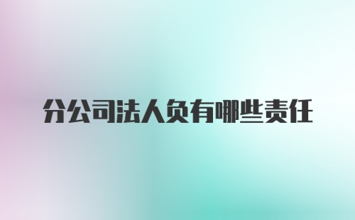 分公司法人负有哪些责任