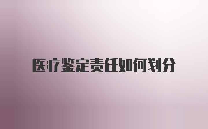 医疗鉴定责任如何划分