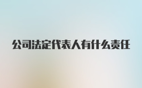 公司法定代表人有什么责任