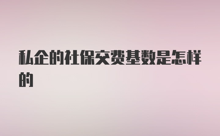 私企的社保交费基数是怎样的