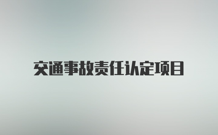 交通事故责任认定项目