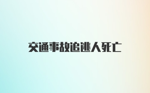 交通事故追逃人死亡