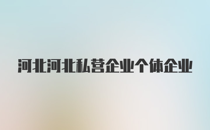 河北河北私营企业个体企业