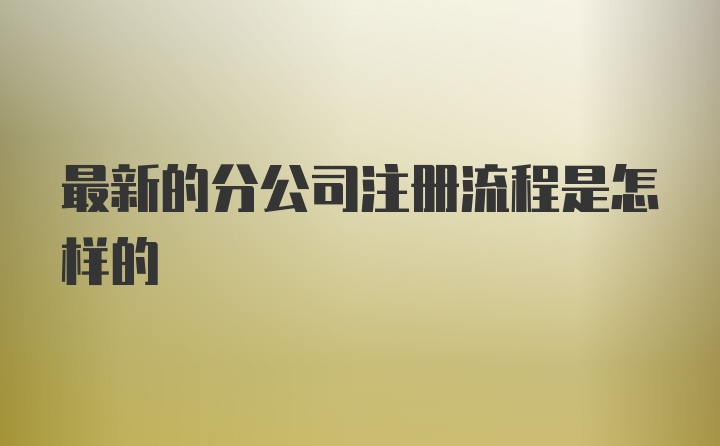 最新的分公司注册流程是怎样的