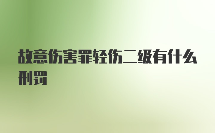 故意伤害罪轻伤二级有什么刑罚