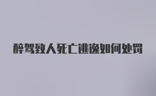 醉驾致人死亡逃逸如何处罚