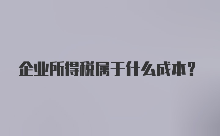 企业所得税属于什么成本？