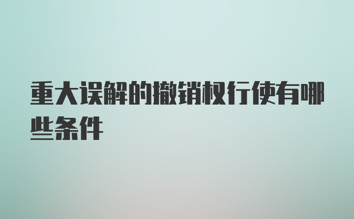 重大误解的撤销权行使有哪些条件