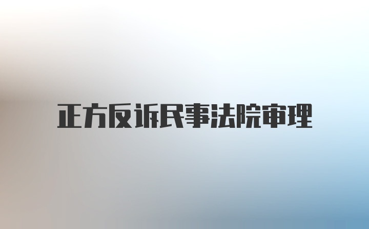 正方反诉民事法院审理