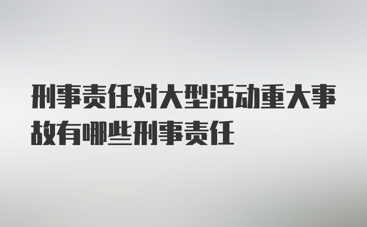 刑事责任对大型活动重大事故有哪些刑事责任