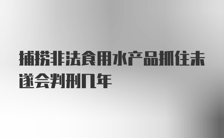 捕捞非法食用水产品抓住未遂会判刑几年