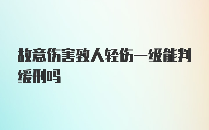 故意伤害致人轻伤一级能判缓刑吗