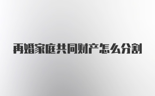 再婚家庭共同财产怎么分割