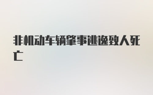 非机动车辆肇事逃逸致人死亡