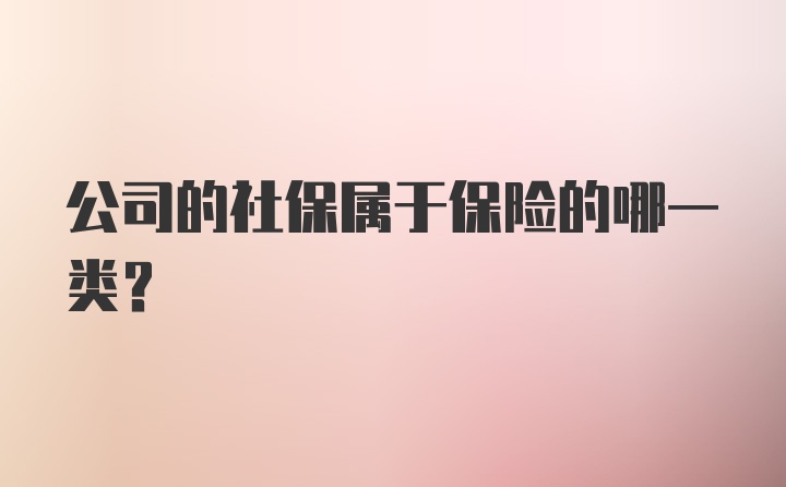 公司的社保属于保险的哪一类？