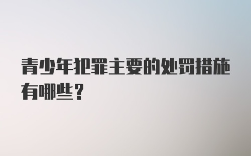 青少年犯罪主要的处罚措施有哪些？