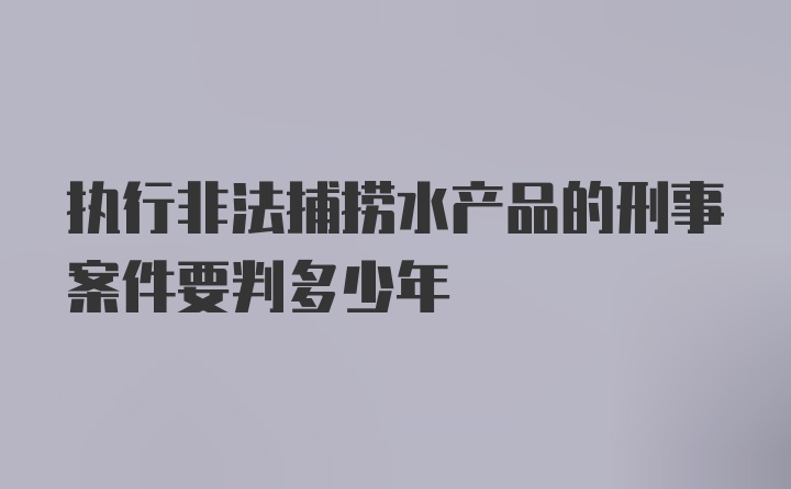 执行非法捕捞水产品的刑事案件要判多少年