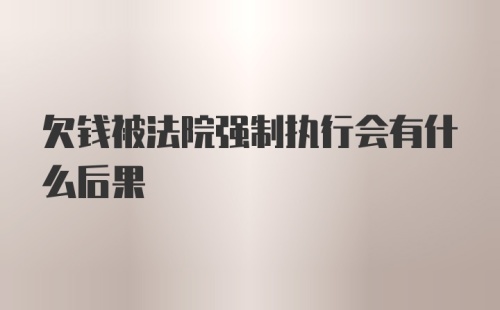 欠钱被法院强制执行会有什么后果