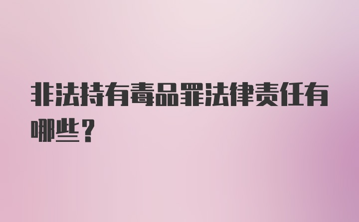 非法持有毒品罪法律责任有哪些？