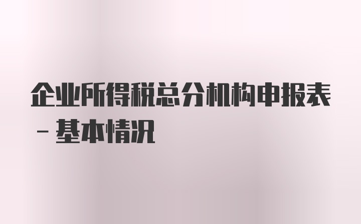 企业所得税总分机构申报表-基本情况