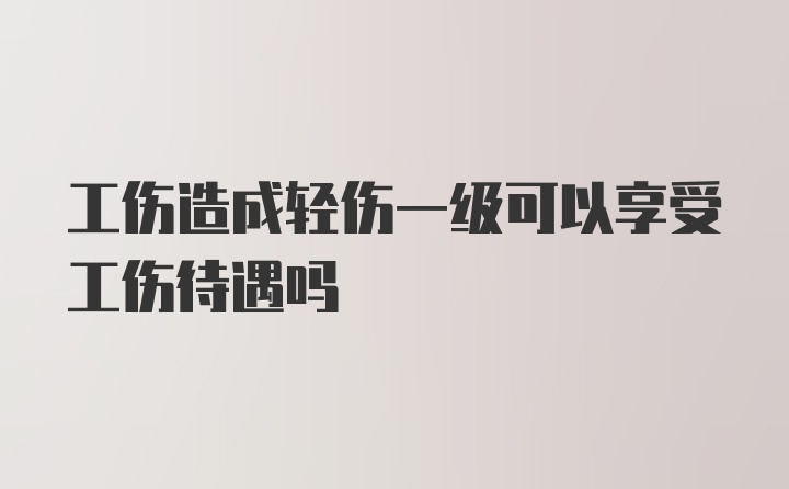 工伤造成轻伤一级可以享受工伤待遇吗