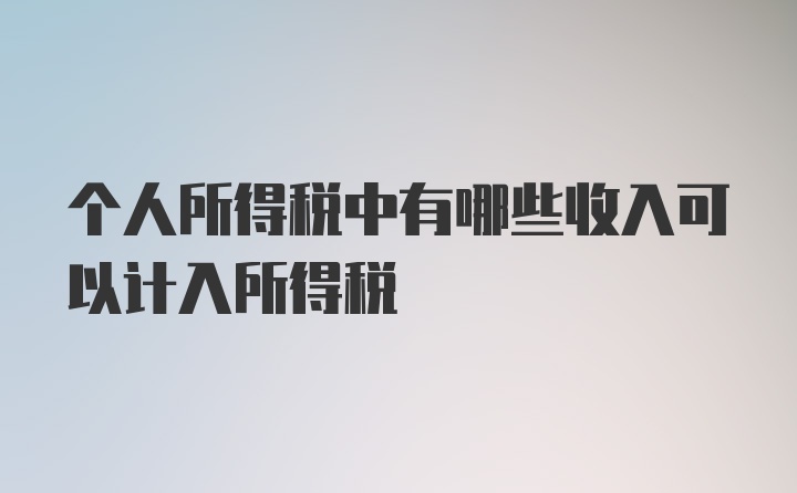 个人所得税中有哪些收入可以计入所得税