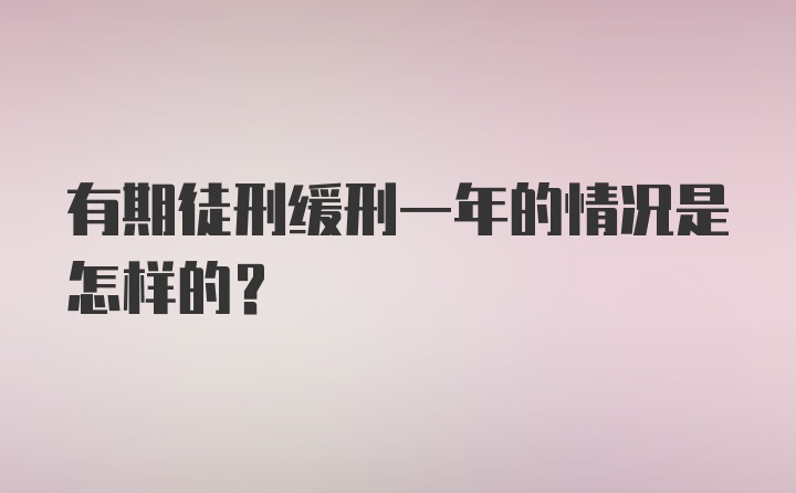 有期徒刑缓刑一年的情况是怎样的？