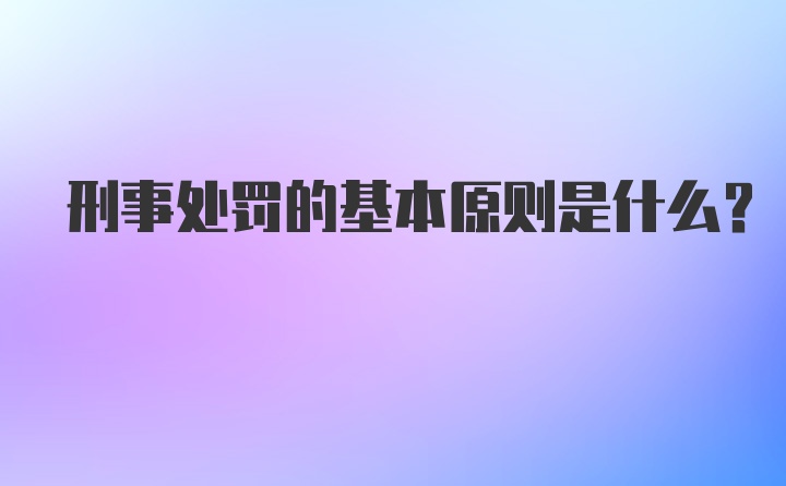 刑事处罚的基本原则是什么？