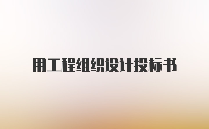 用工程组织设计投标书