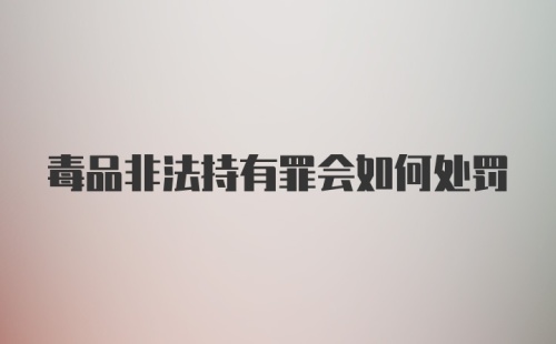 毒品非法持有罪会如何处罚