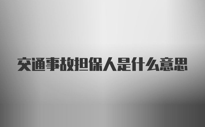 交通事故担保人是什么意思