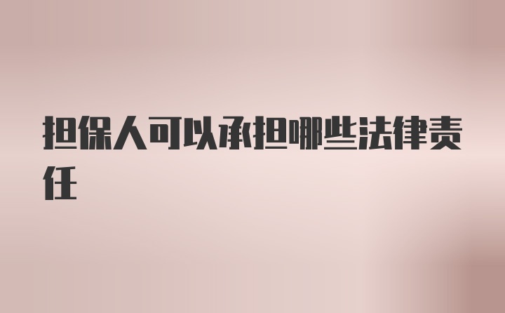 担保人可以承担哪些法律责任