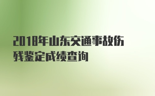 2018年山东交通事故伤残鉴定成绩查询