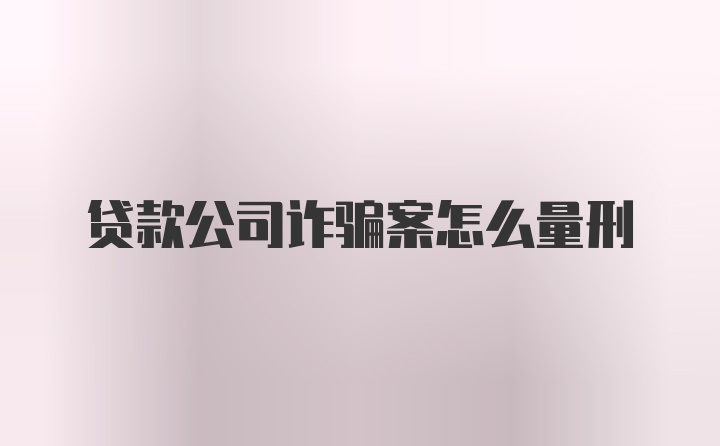 贷款公司诈骗案怎么量刑