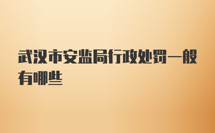 武汉市安监局行政处罚一般有哪些