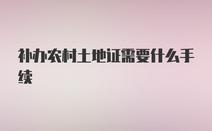 补办农村土地证需要什么手续