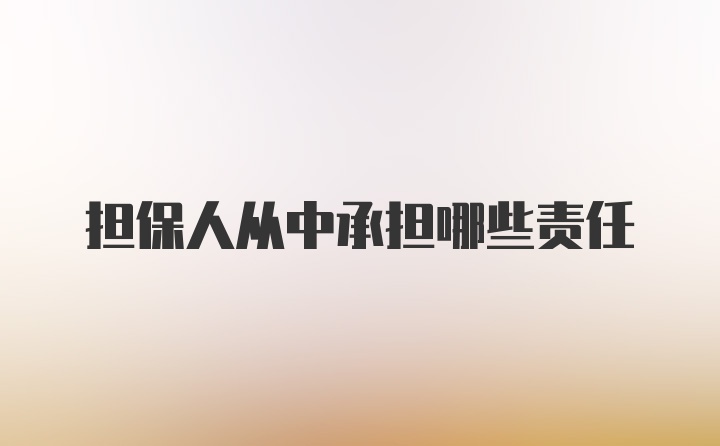 担保人从中承担哪些责任