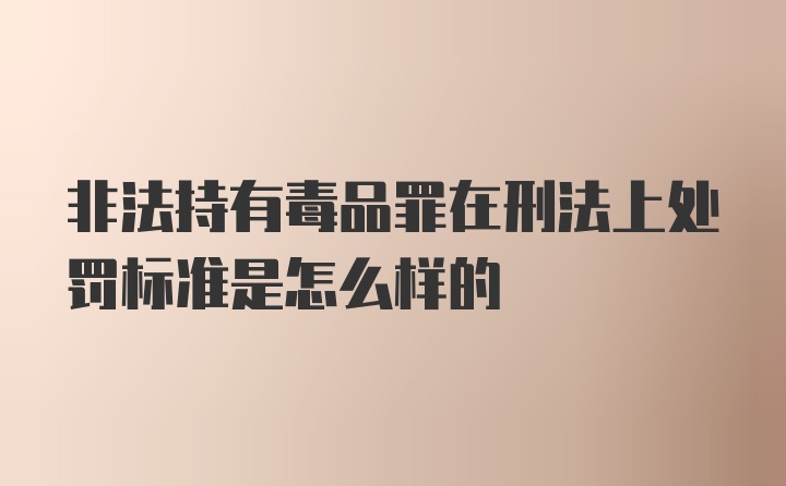 非法持有毒品罪在刑法上处罚标准是怎么样的