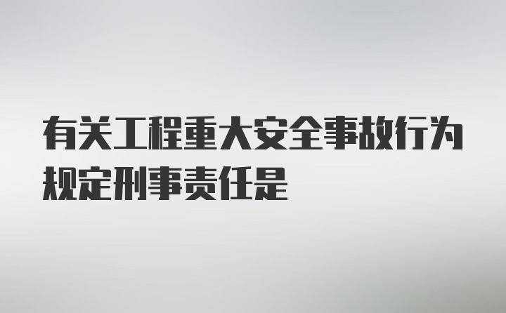 有关工程重大安全事故行为规定刑事责任是