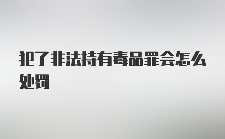 犯了非法持有毒品罪会怎么处罚