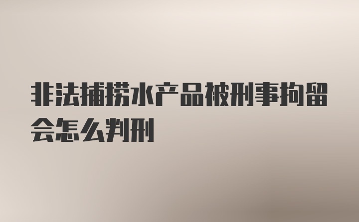 非法捕捞水产品被刑事拘留会怎么判刑