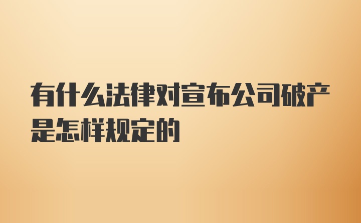 有什么法律对宣布公司破产是怎样规定的