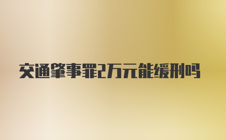 交通肇事罪2万元能缓刑吗