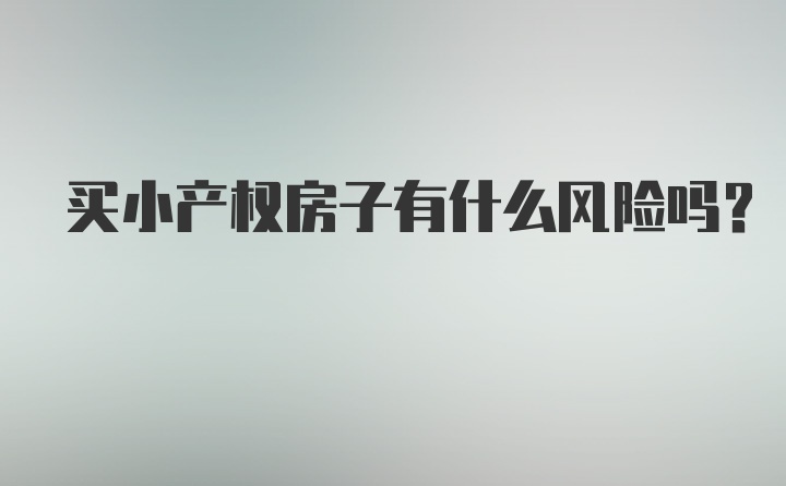 买小产权房子有什么风险吗？