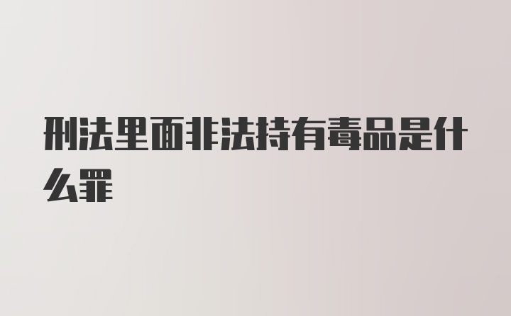 刑法里面非法持有毒品是什么罪